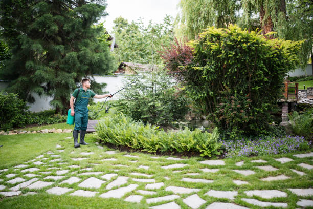 Wasp Removal Services in Friendly, MD