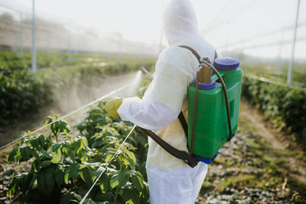 Best Local Pest Control Services  in Friendly, MD